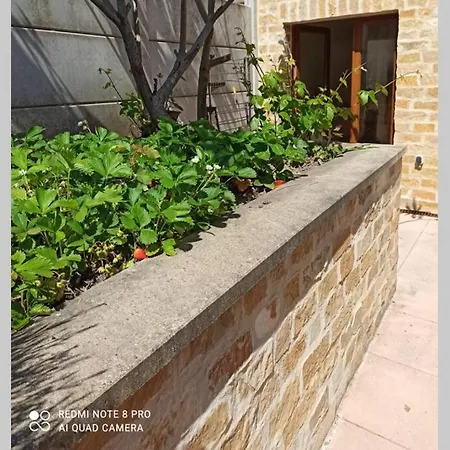 فيلة Dolce Vita : Maison 4 *